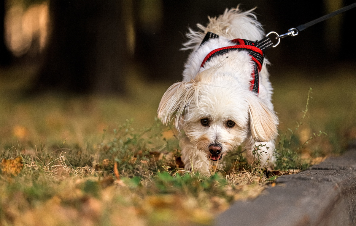 Александр Щербак/ТАСС
