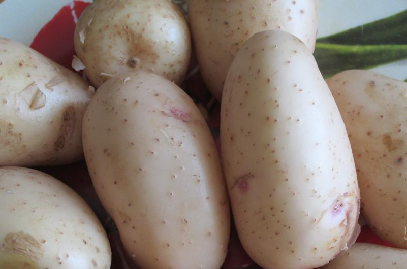 Фото Елены Меркуловой