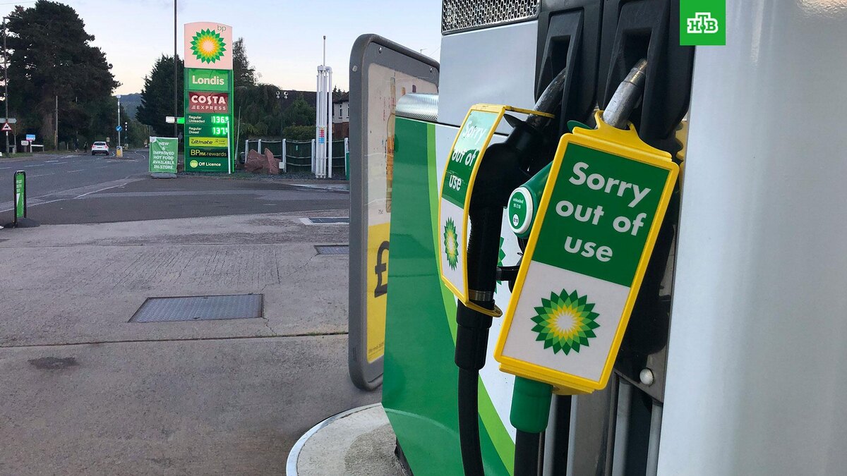    Фото: Red Dot / unsplash.com