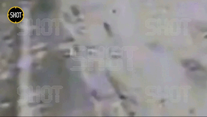    Видео: Telegram/SHOT