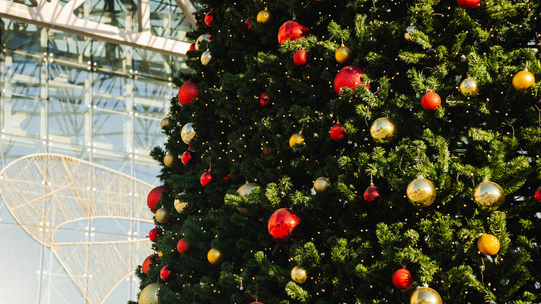    фото: Anastasia Sorgina/URA.RU/Globallookpress