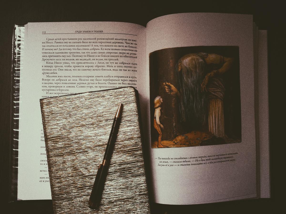 Здесь как раз мой любимый писательский блокнот - в золотом переплёте. И книга с вдохновляющими иллюстрациями Йона Бауэра.