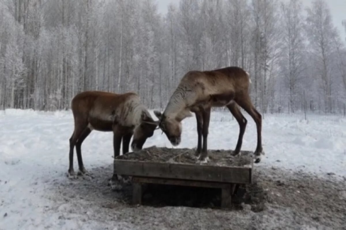    Нижегородская область получила четыре награды Russian Traveler Awards