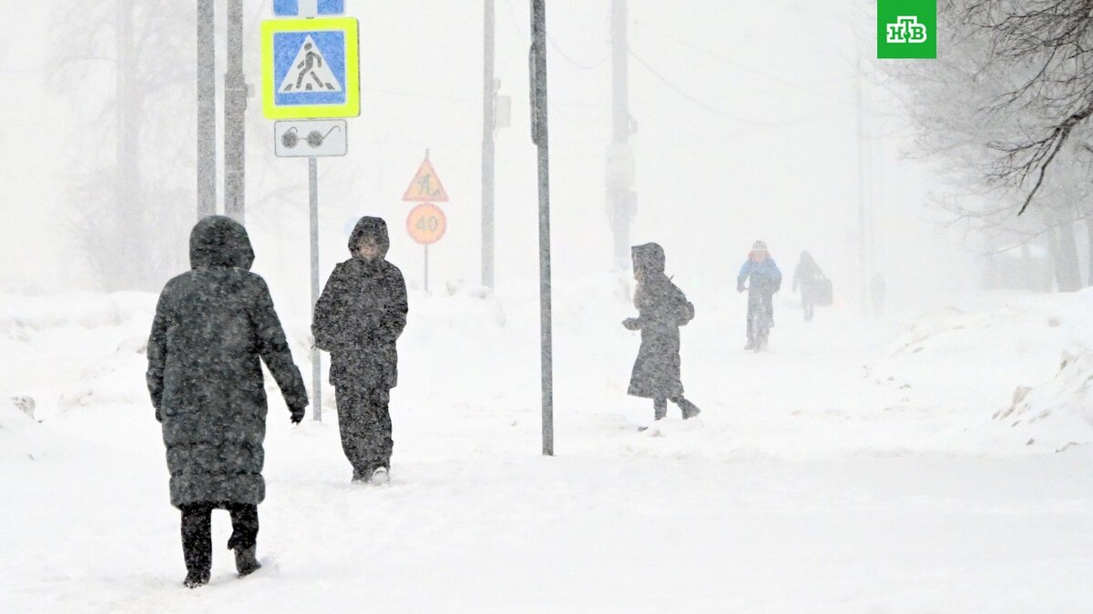    Фото: РИА Новости © 2024, Владимир Федоренко