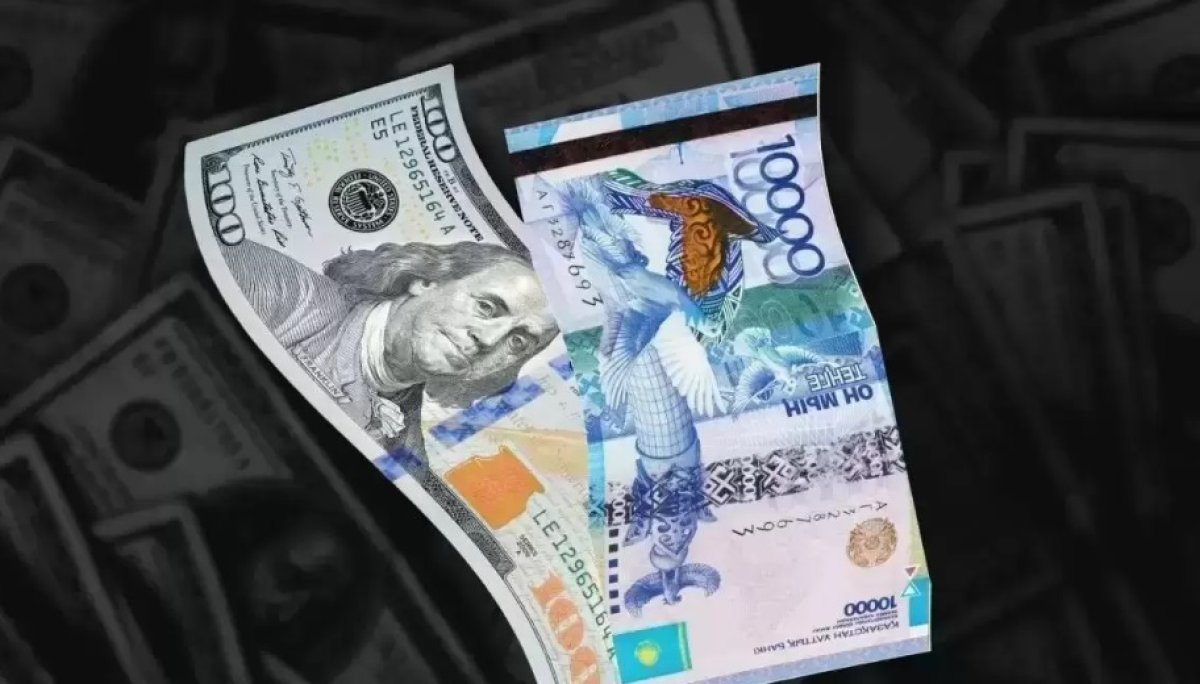 фото взято из сети интернет.