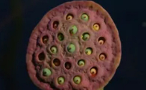 Фото из открытых источников интернета 