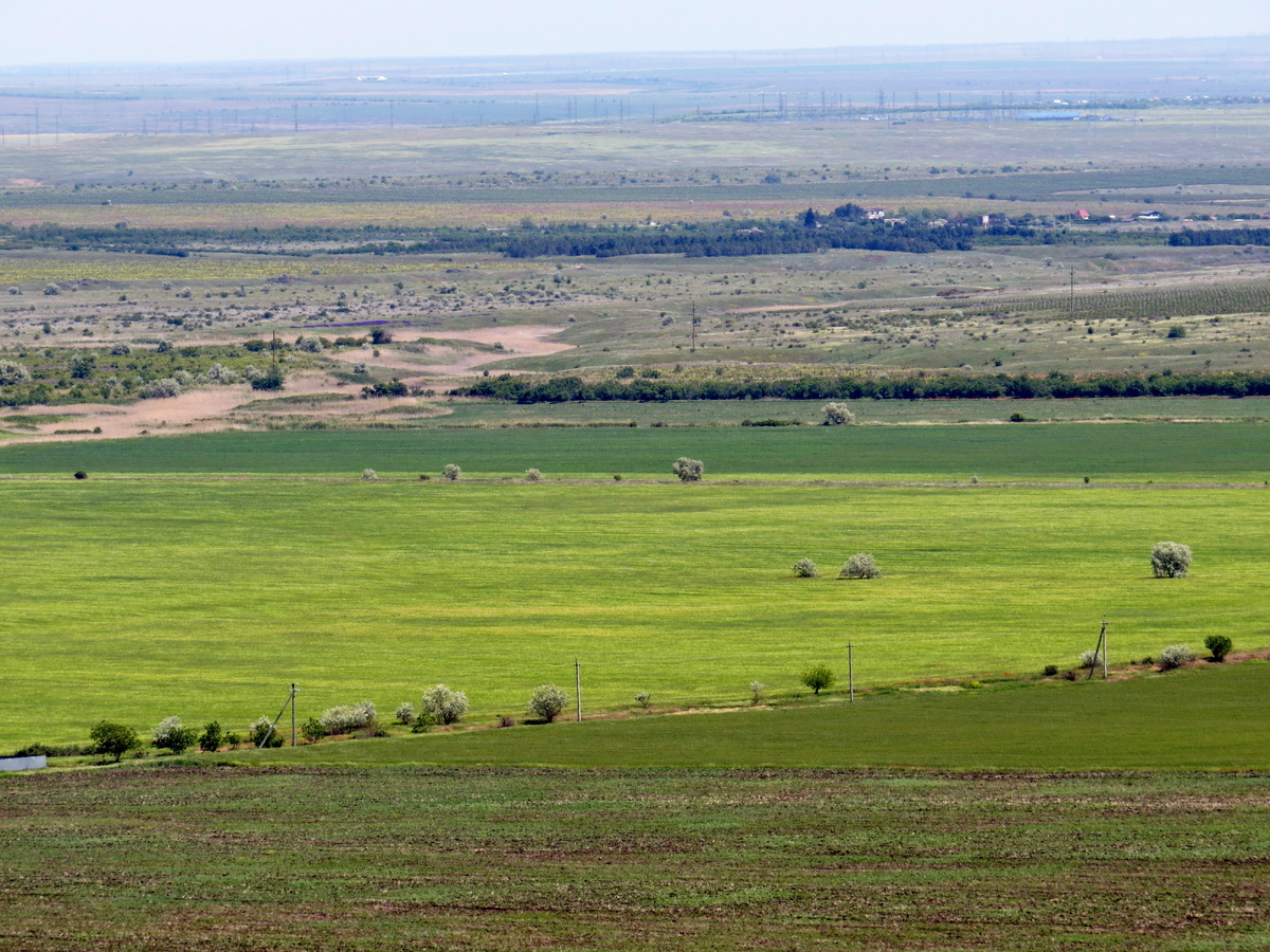 Листайте галерею.