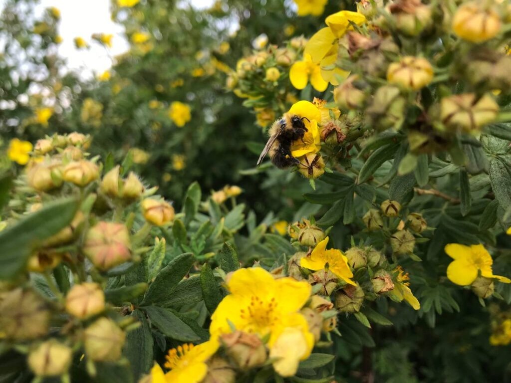    Фото: В курсе.ру Полина Анкушина