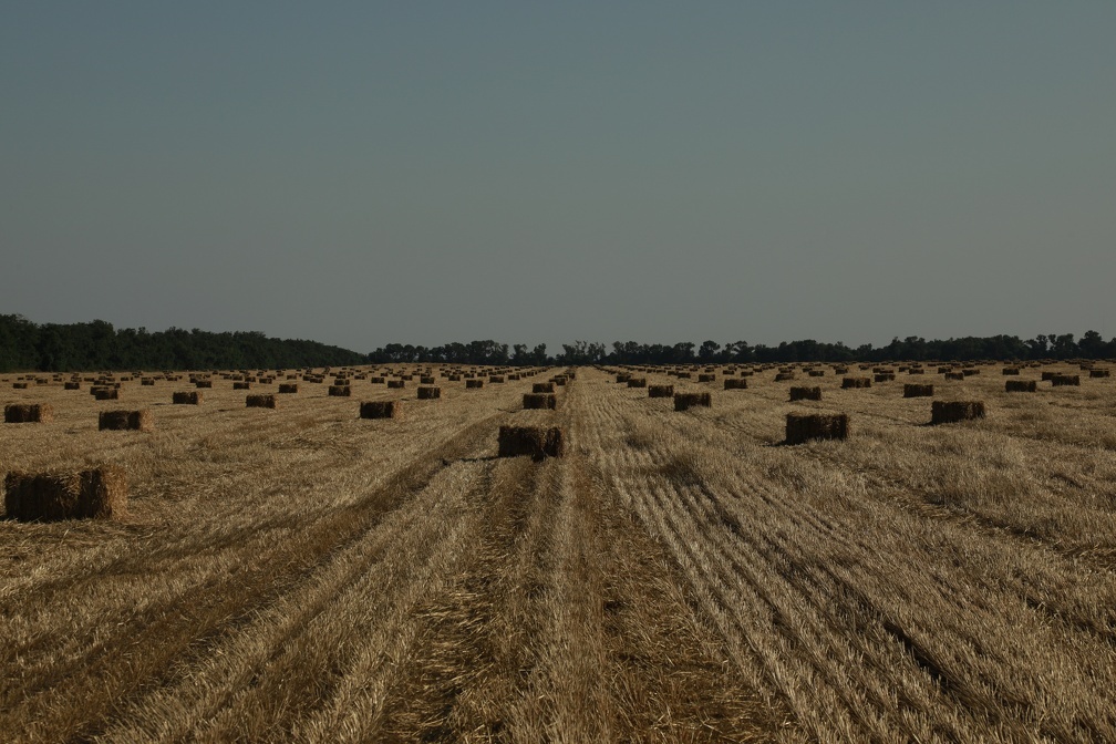 ООО «СДК»📷
