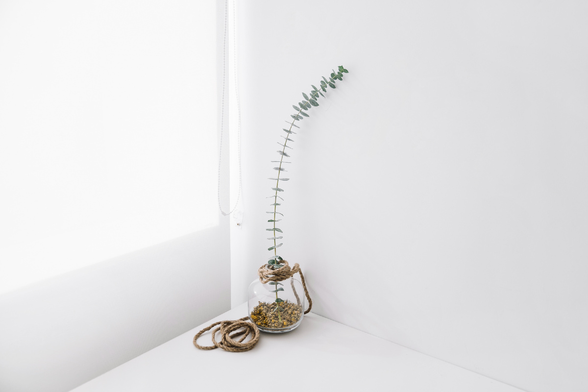 Теплые оттенки белого делают помещение более уютным