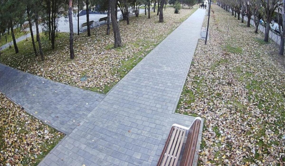     Скриншот с камеры видеонаблюдения. Источник: volgograd.ru Автор фото: Пресс-служба администрации Волгоградской области