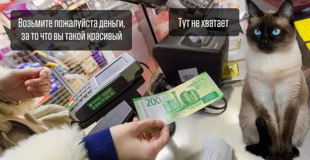 Из свободного источника.