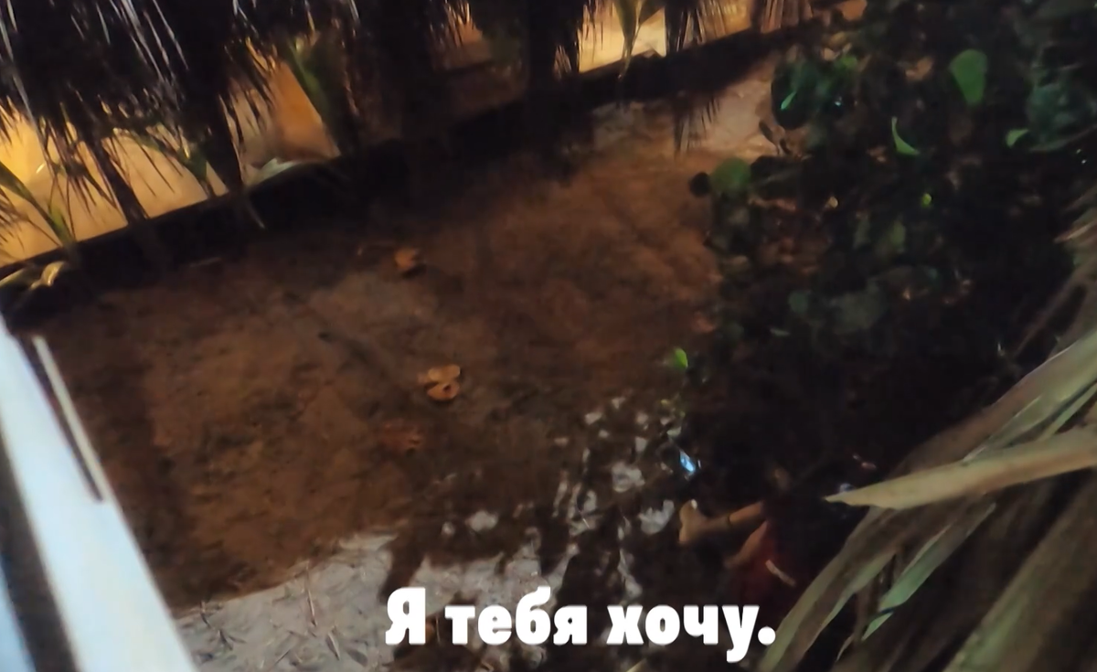 Что скрыли кусты от участников проекта "Звёзды в джунглях"?