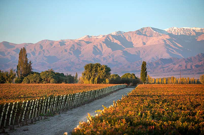 Долина Уко, Мендоса, Аргентина