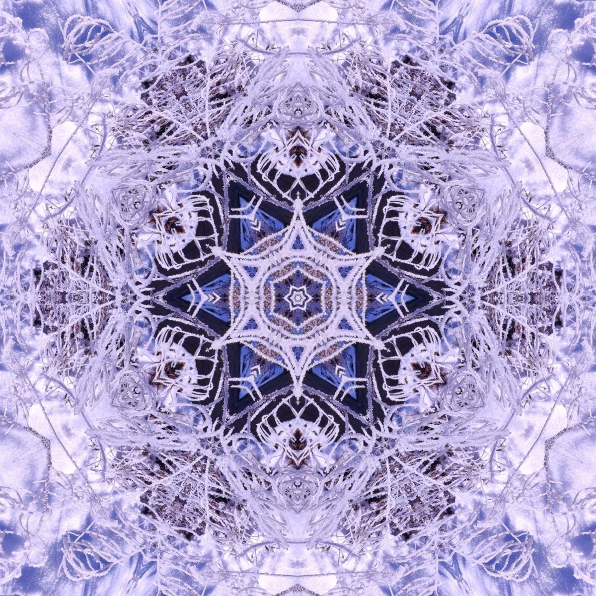 Автор фото Алексей Жогов, "Медитариум"