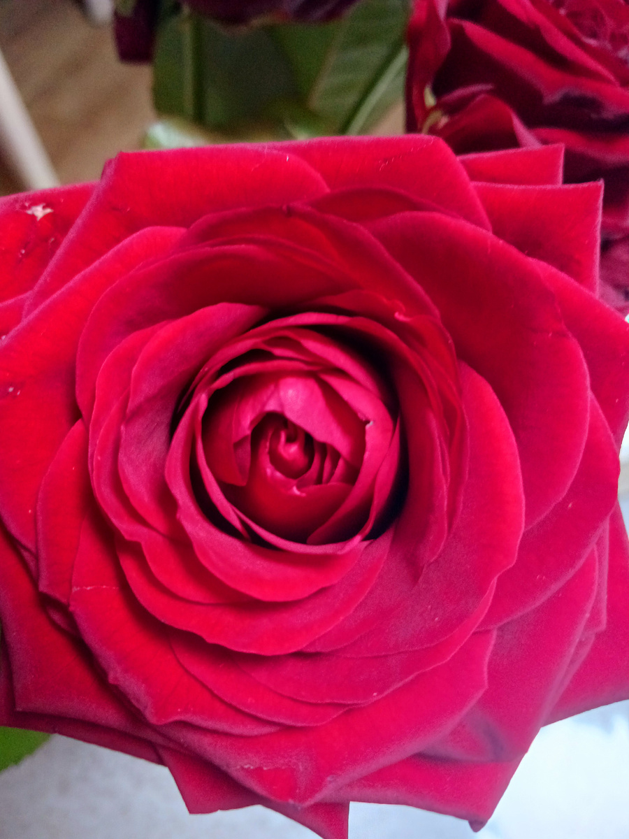 "Доброе утро, мир! Ты прекрасен!" Фото автора