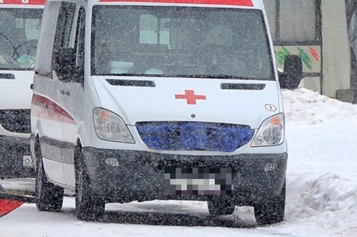    Младенец и женщина погибли в ДТП с грузовиком на трассе в Удмуртии
