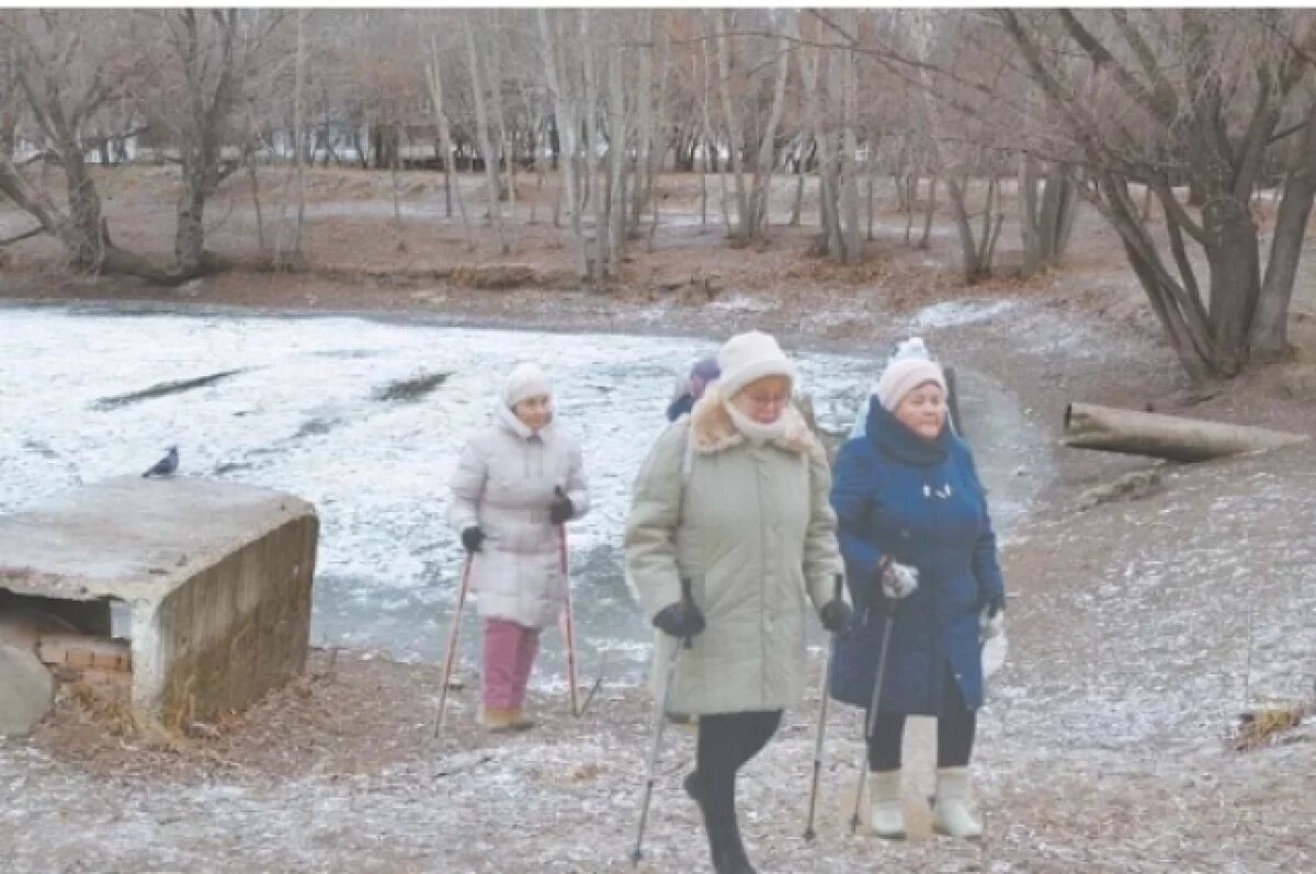    Вонь и собачьи «мины».