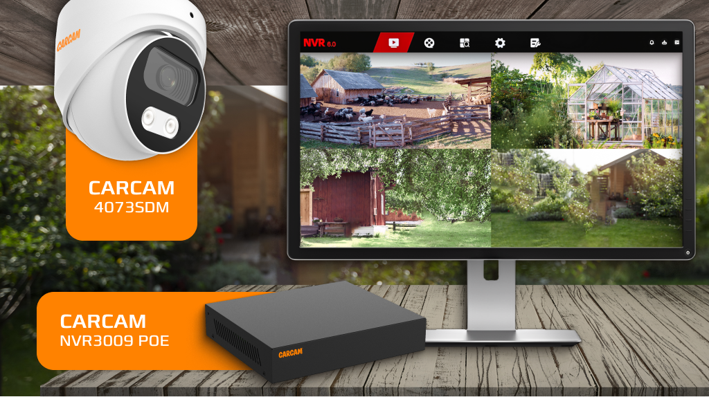 Состав простой системы видеонаблюдения на базе NVR3009 POE