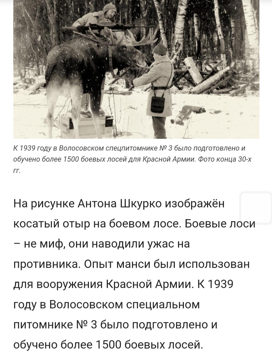 Манси воевали и друг с другом, и с русскими, и в Великую отечественную.