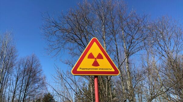    © Sputnik / Денис Кошелев