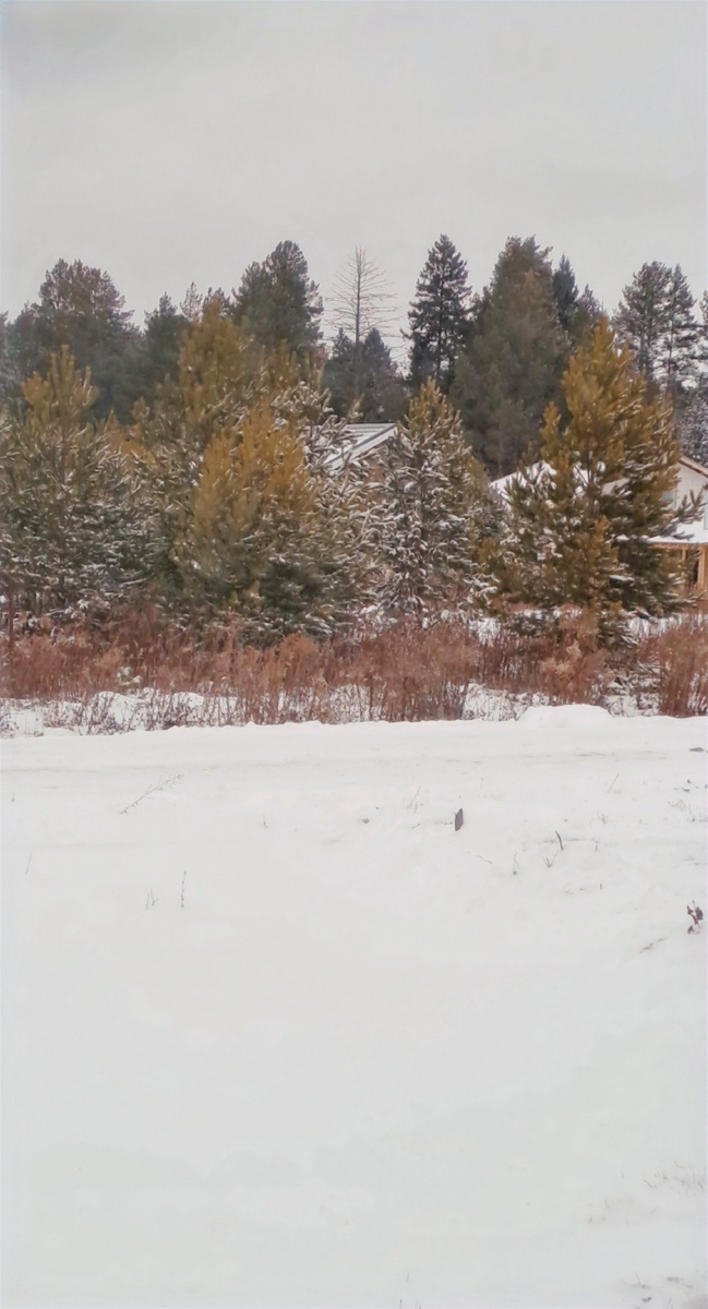 Вид из окна (фото автора)