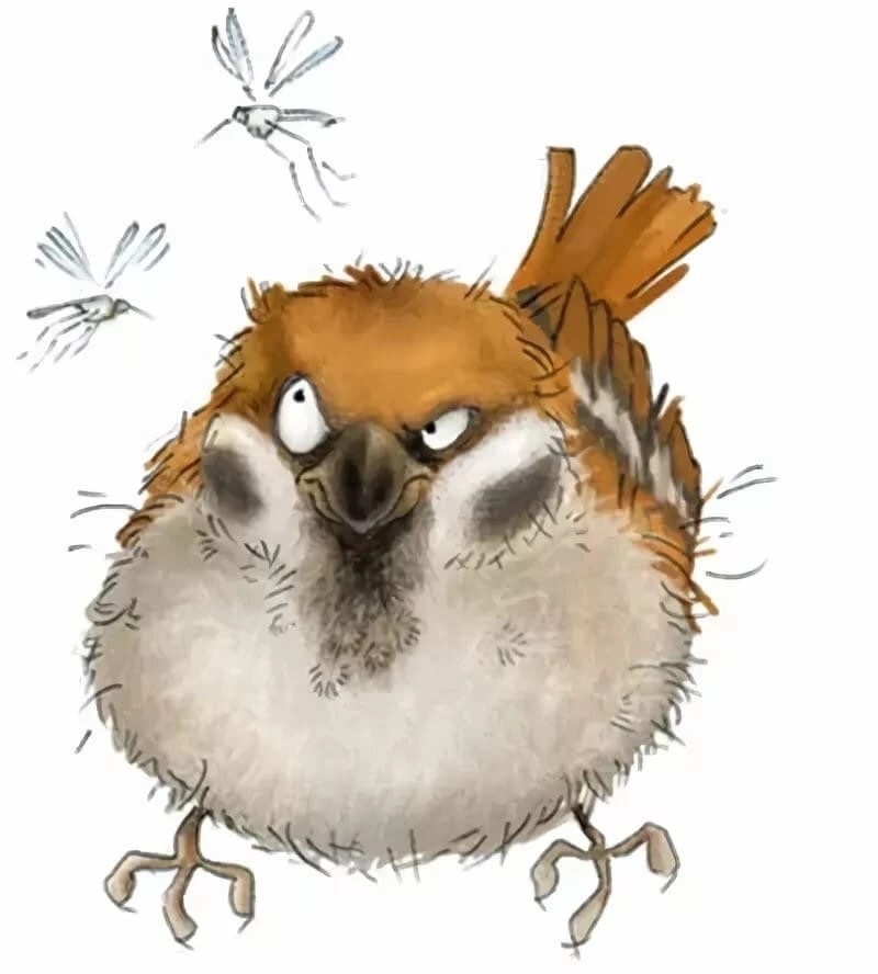 Яндекс-картинки