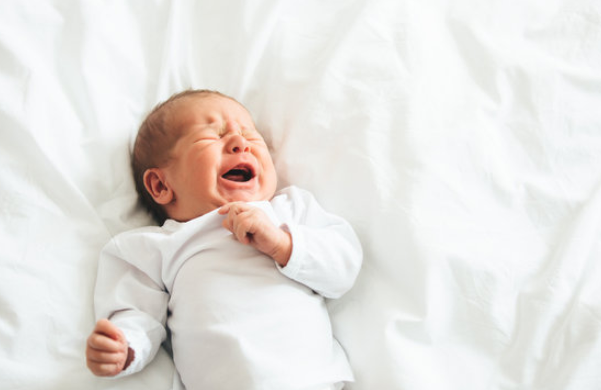 Фото: открытые источники