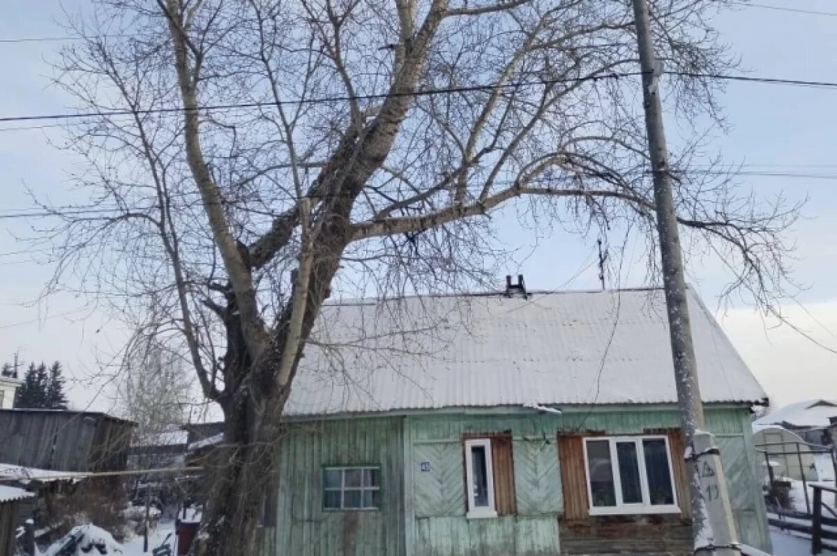    На снос аварийных деревьев в Томске выделят 9,4 миллиона рублей в 2025 году