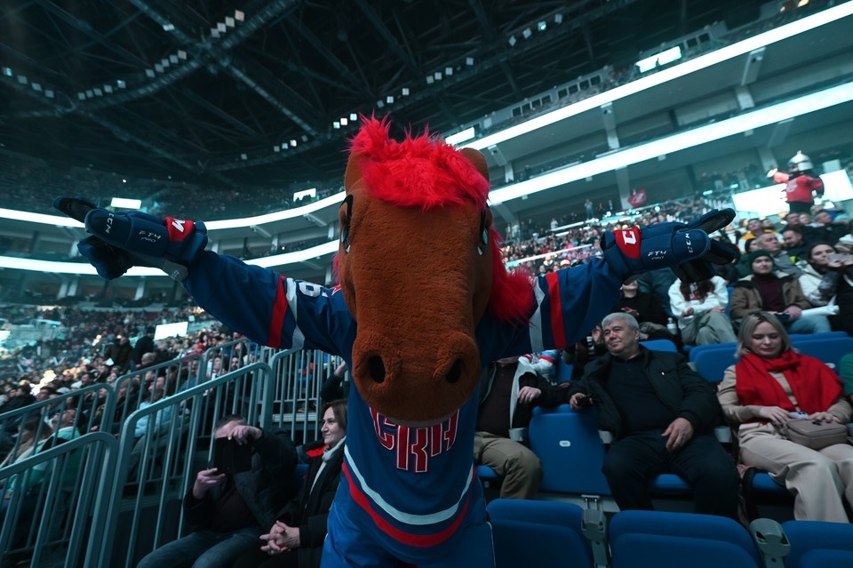    СКА Арена снова станет домашним стадионом СКА - с 17 декабря. ПЫХАЛОВА Юлия (архив)