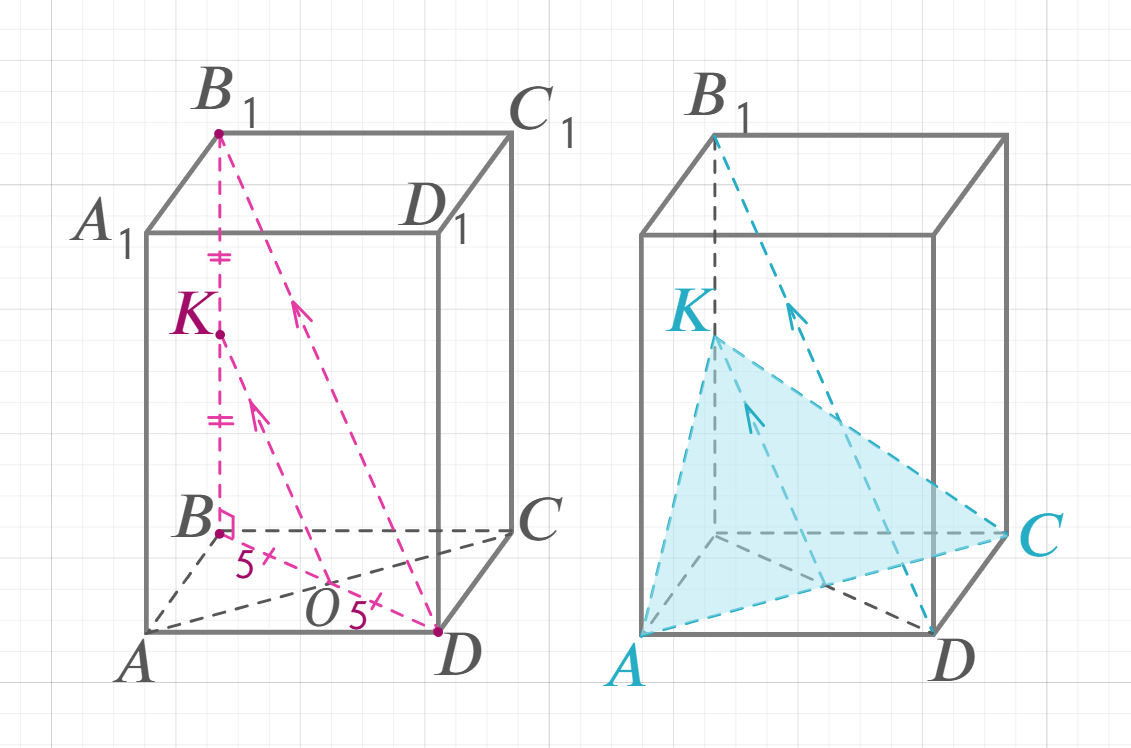 Пусть К - середина BB1. Докажем, что (AKC) - искомое сечение