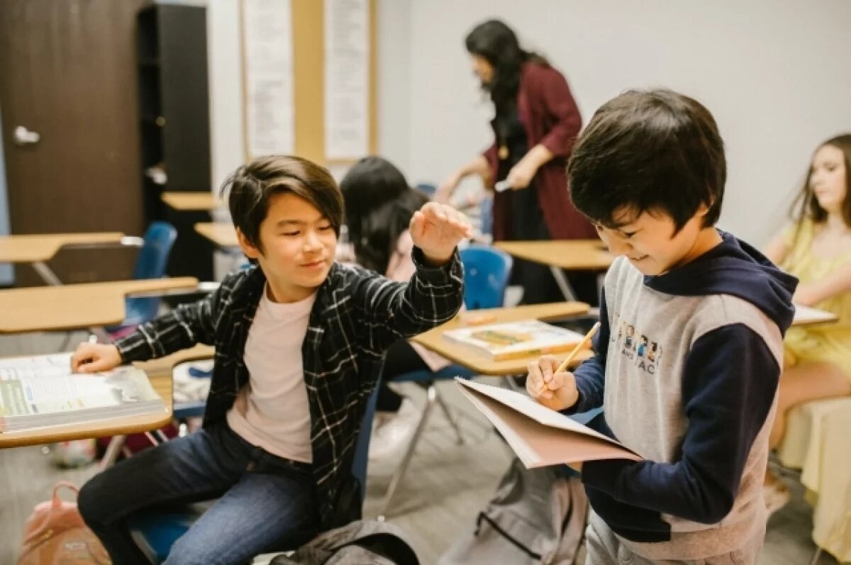    Смолин: Рособрнадзор разработает тест для приема в школу детей мигрантов