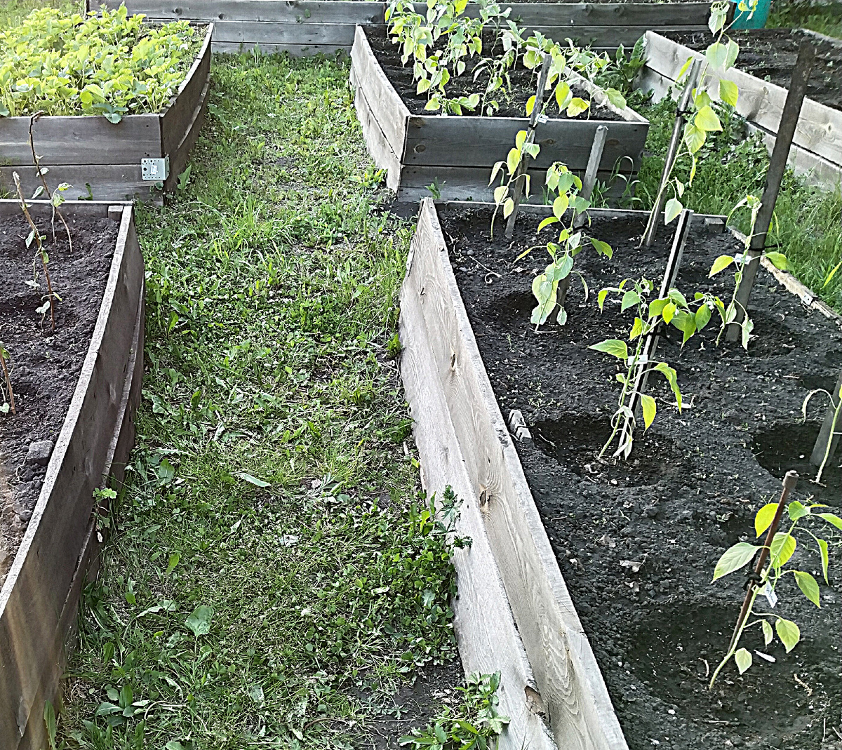 Фото от 02.06.2024