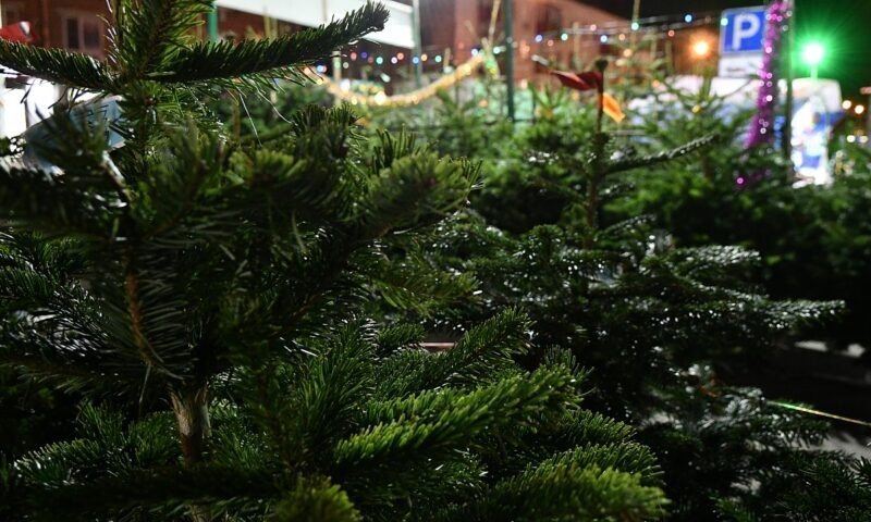    Фото пресс-службы администрации Краснодара