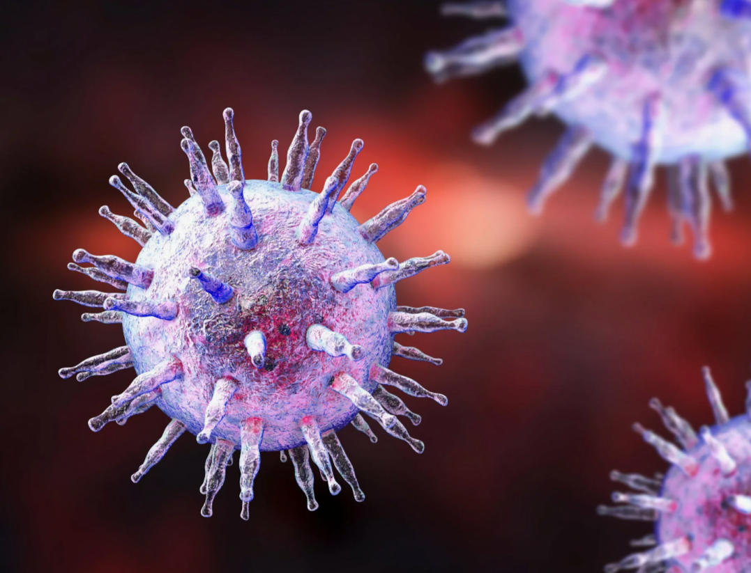 Вирус Эпштейн-Барра является наиболее частой причиной такой реакции 