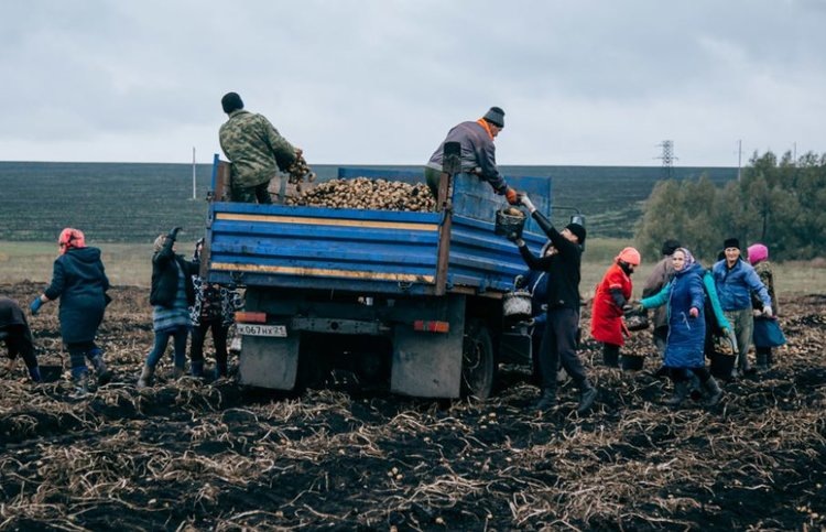    68 грантов предоставлено фермерам Чувашии в 2024 году