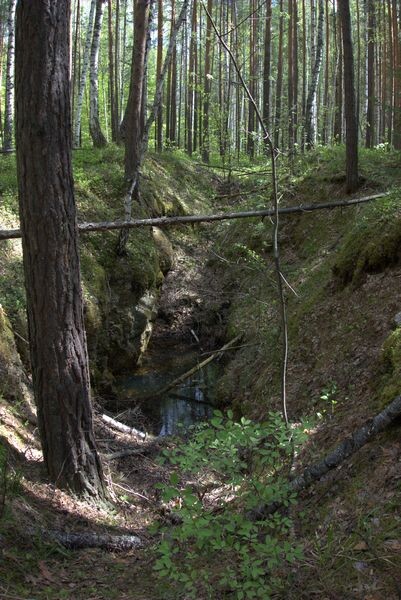 Кварцевая копь