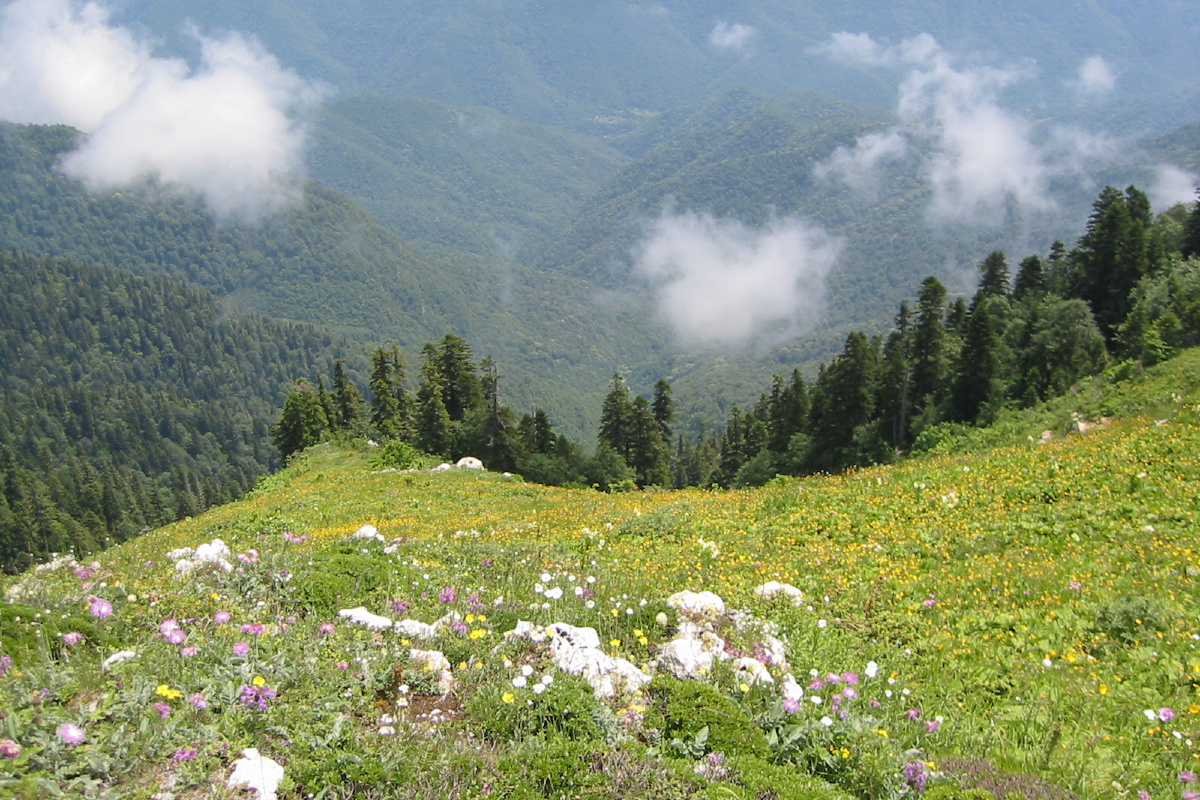 Абхазия осталась без света из-за остановки местной ГЭС. Фото: Wikipedia.org © Vyacheslav Argenberg/CC BY 2.0