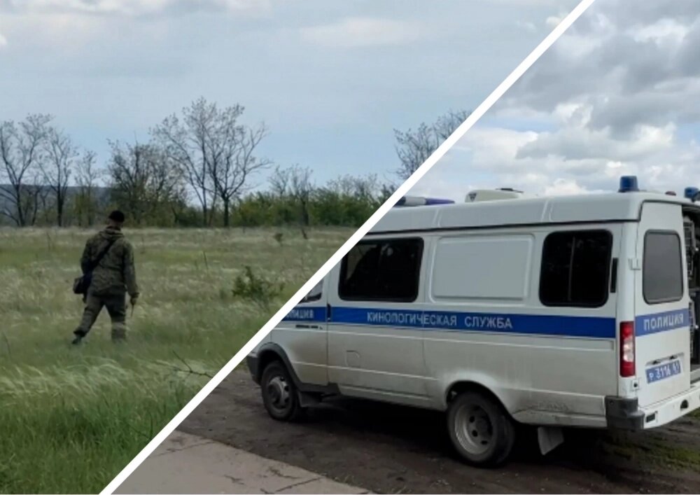    Окрестности прочёсывали правоохранители и волонтёры. Фото: Газета «Новость».