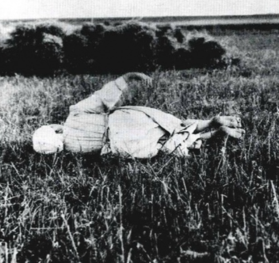 Рязанская губерния, Косимовский уезд, деревня Шемякино. 1914 год