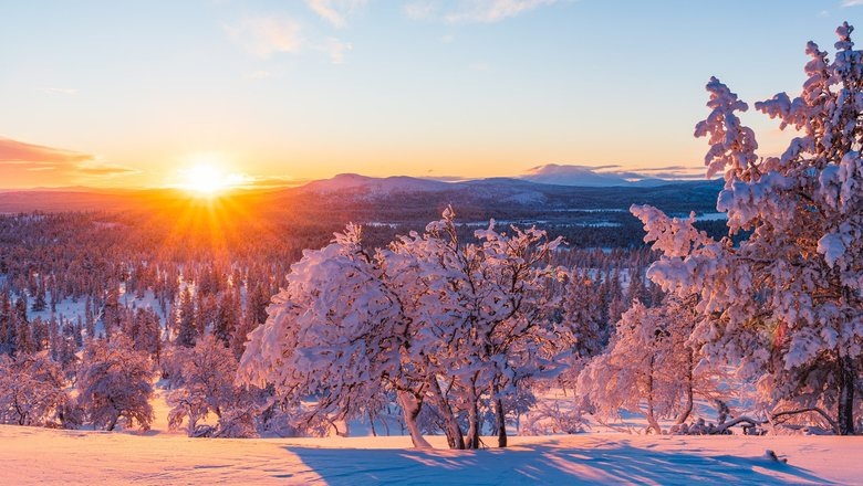 Источник: Freepik.com