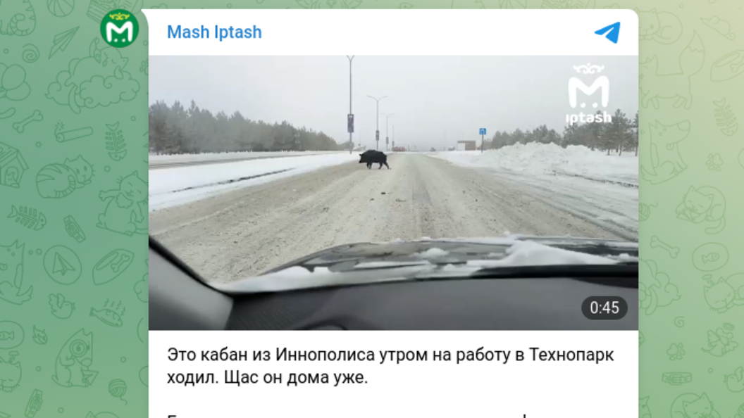    фото: тг-канал mash