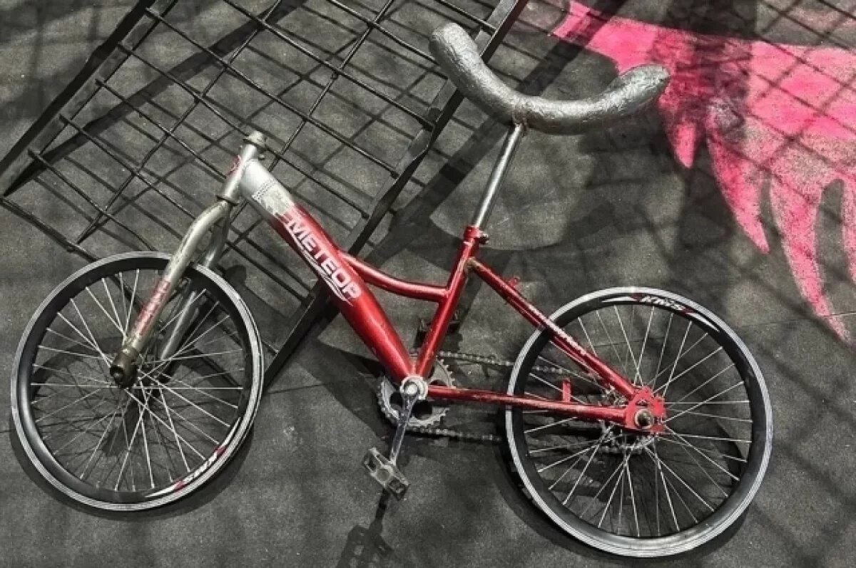    Завершено расследование смертельного падения артиста цирка в Ростове