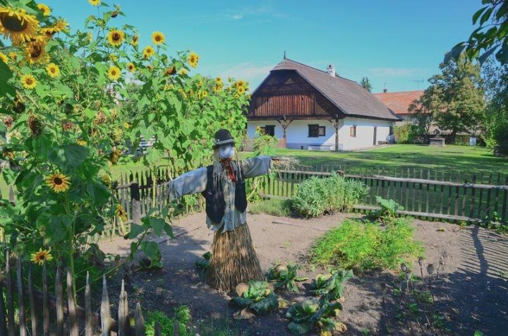 Фото: shutterstock.com / josefzima