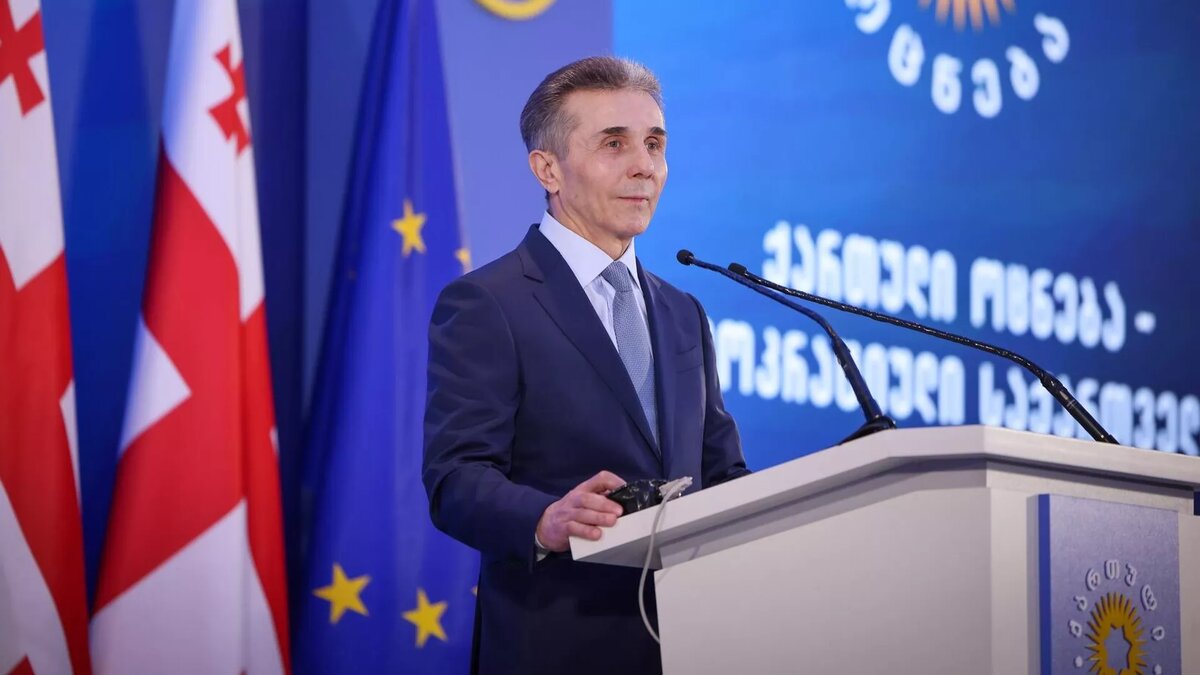 © political party "Georgian Dream"