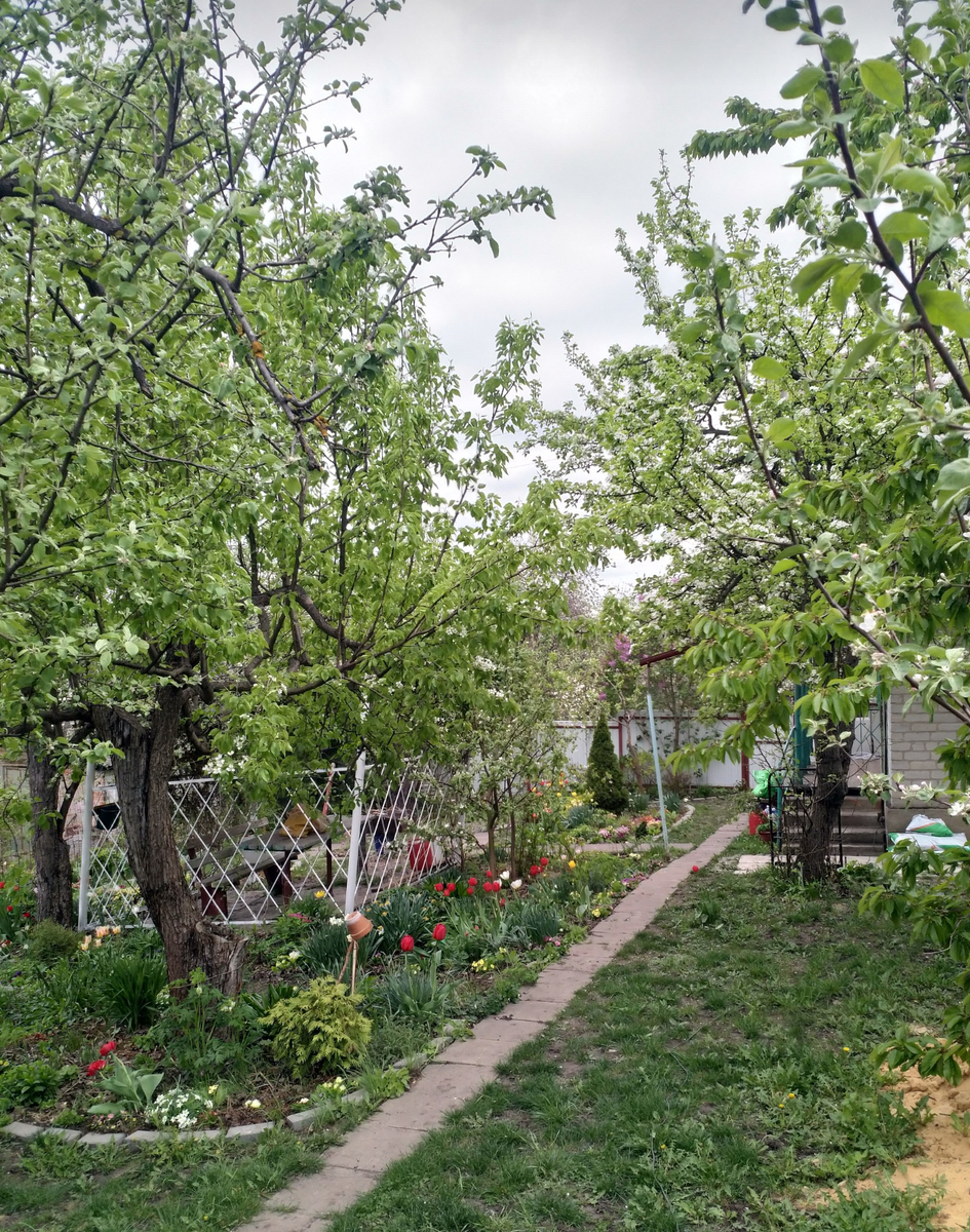 Без прикрас.