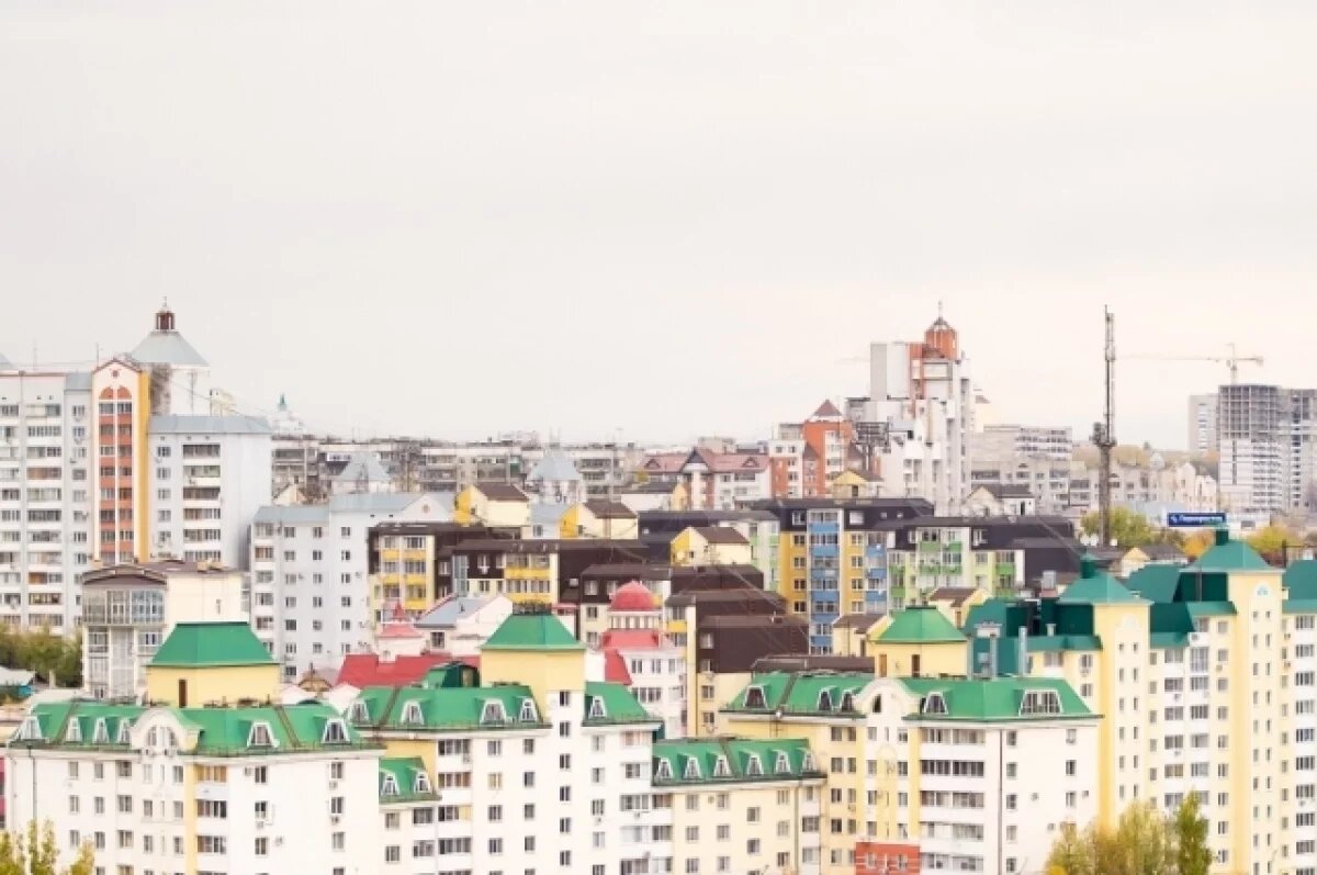    За 9 месяцев 2024 года липчане отдали свыше 5 млрд руб за страховку