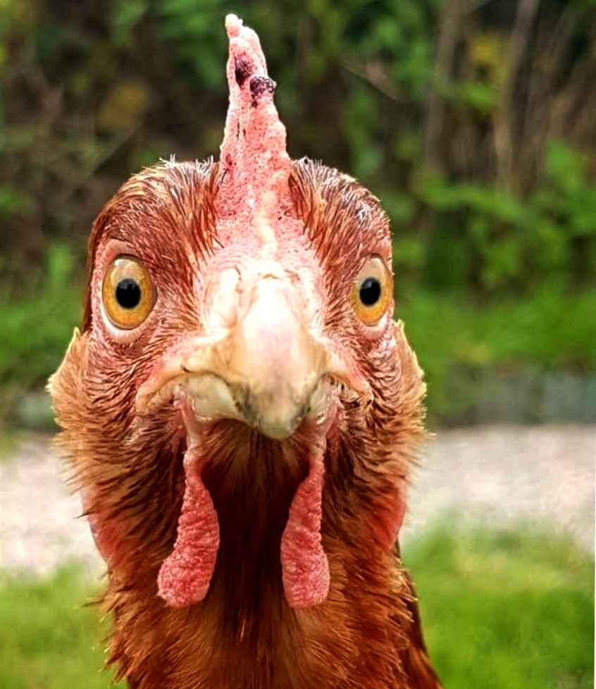 Фото из интернета