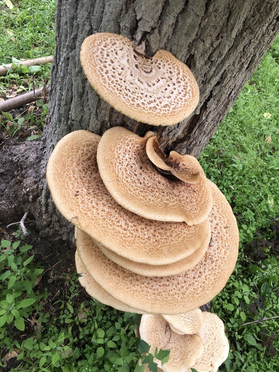 Автор фото Елена Пономарёва