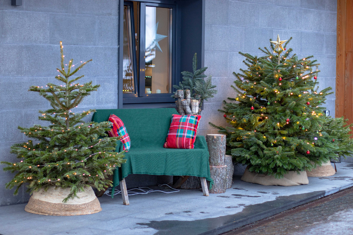 Новый год в гостиничном комплексе Терве Ранта, Карелия